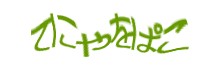 認証画像
